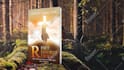 do amazon book and kindle ebook promotion worldwide