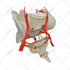 create custom medical or scientific illustration