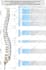 do detailed scientific figures illustrations and diagrams