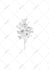 create fineline tattoo design