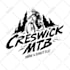 do detailed hand drawn logo design in vector