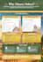 design an eye catching islamic flyer, poster or brochure