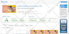 be your elementor expert design elementor wordpress website,fix elementor issue