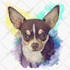 do a custom pet portrait, dog portrait, cat portrait