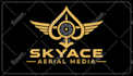 vector trace edit or enhance the quality of existing logo or image
