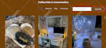 build wordpress website, revamp or redesign  wordpress website