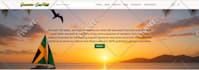 create ecommerce online store, multivendor woocommerce store wcfm,dokan webshop