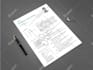 create professional resume design and CV design in 24 hours