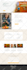 build professional, stunning, and responsive wordpress website design