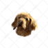 draw dog, cat, any pet to vector portrait