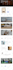 build modern and responsive wordpress website design