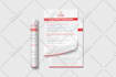 design professional flyer in 12 hours