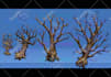 make 8 bit or 16 bit sprites for games or pixel art