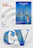 design mechanic, handcraft, cleaning co, hotels flyers
