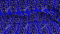 create seamless ankara pattern wax dye design