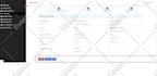 develop online web based database application system
