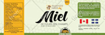 design a stunning logo for your business