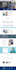 build wordpress website, wordpress developer or desinger