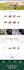 develop responsive wordpress website, plugins and themes