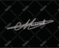 make handwritten signature scripted cursive, autograph logo