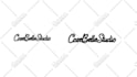 convert raster logo, image in vector file high resolution