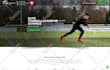 design a professional custom website for your business