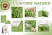 do amazon product photography editing, product photo editing