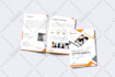 be your professional canva designer for business project