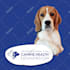 design a corporate or event poster and promotional banner