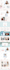 design and develop a professional wordpress website