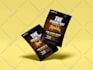 make amazing flyer, brochure, flyer, sales sheet design