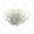create 3d plants in speedtree