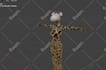 do blender 3d character rigging, unreal rig, animaze