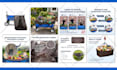 design a professional custom infographic for your business