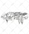 draw realistic sketch  or illustration of any thing