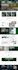 design wordpress landing page, sales page, squeeze page using elementor pro