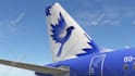 make accurate liveries for microsoft flight simulator 2020