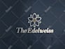 design 3d logo and favicon