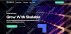 build  responsive wordpress website design, elementor pro website