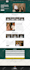 responsive dynamic wordpress website using elementor pro