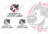do high quality mascot cartoon portrait logo from your photo