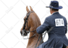 photoshop editing and background removal super fast delivery