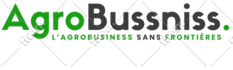 design redesign wordpress website, wordpress website development as a developer