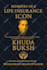 create original book cover design, kdp book cover