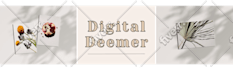 create a professional etsy banner for your store