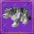 create models or skins for minecraft