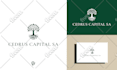 design a modern minimalist logo for your business with branding kit