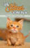 create a unique 3d ebook cover