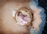 do family, newborn, and wedding photo editing