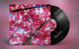 design a stunning single album cover artwork